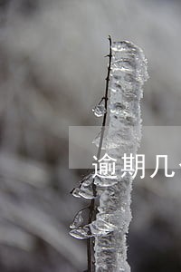 逾期几个月会成失信人 逾期几个月会成失信人