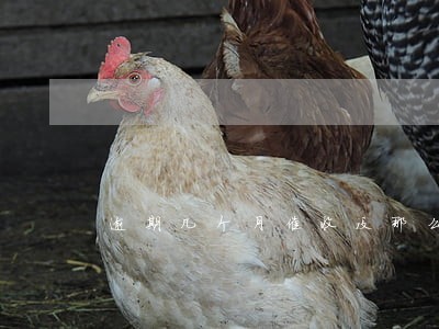 逾期几个月催收没那么频繁了
