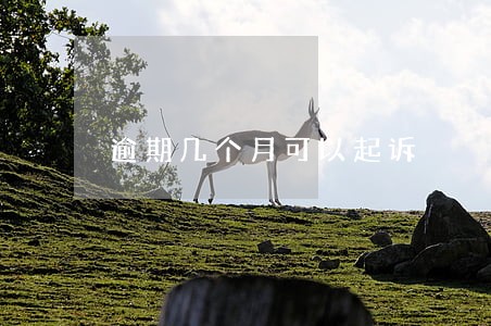 逾期几个月可以起诉 逾期几个月可以起诉