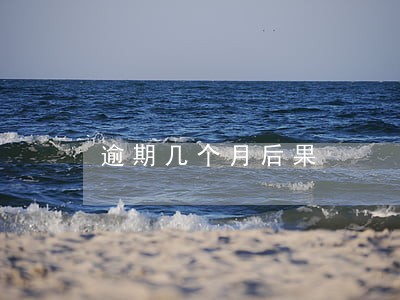 逾期几个月后果 逾期几个月后果