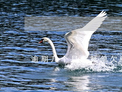 逾期几个月后账单欠款不再变 逾期几个月后账单欠款不再变