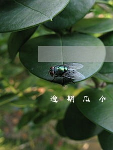 逾期几个月在终于下了两个 逾期几个月在终于下了两个