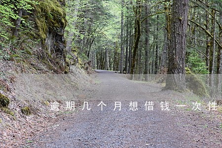 逾期几个月想借钱一次性还 逾期几个月想借钱一次性还