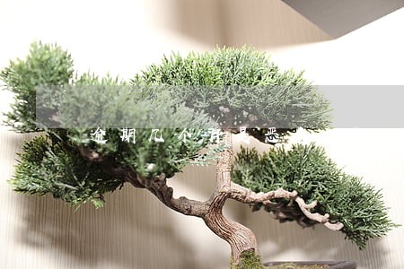 逾期几个月是恶意逾期 逾期几个月是恶意逾期