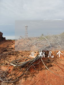 逾期几个月是老赖