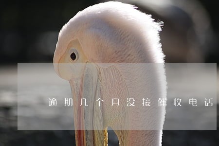 逾期几个月没接催收电话