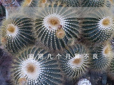 逾期几个月算不良 逾期几个月算不良