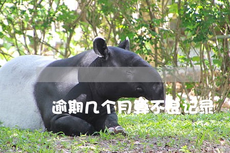 逾期几个月算不良记录 逾期几个月算不良记录