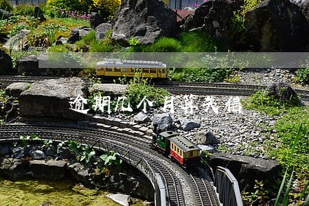 逾期几个月算失信 逾期几个月算失信