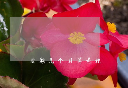逾期几个月算老赖 逾期几个月算老赖
