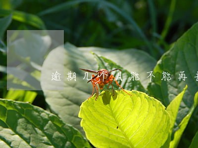 逾期几个月能不能再去借钱 逾期几个月能不能再去借钱