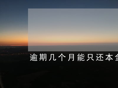 逾期几个月能只还本金吗