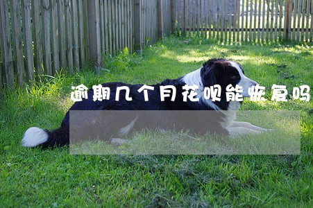逾期几个月花呗能恢复吗 逾期几个月花呗能恢复吗