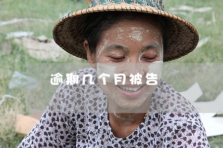 逾期几个月被告 逾期几个月被告