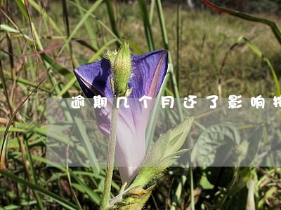 逾期几个月还了影响按揭 逾期几个月还了影响按揭