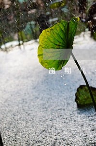 逾期几个月还可以沟通协商吗 逾期几个月还可以沟通协商吗