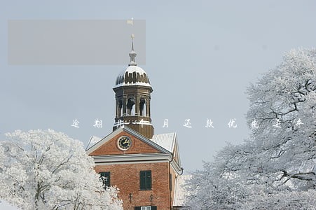 逾期几个月还款优先还本金 逾期几个月还款优先还本金
