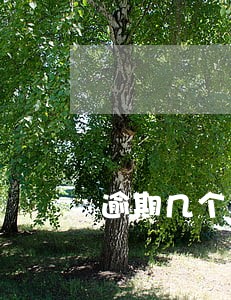 逾期几个月还款后果 逾期几个月还款后果