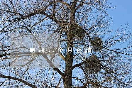 逾期几个月还清 逾期几个月还清