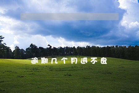 逾期几个月进不良 逾期几个月进不良