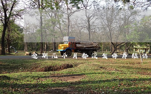 逾期几个月都没发侮辱短信