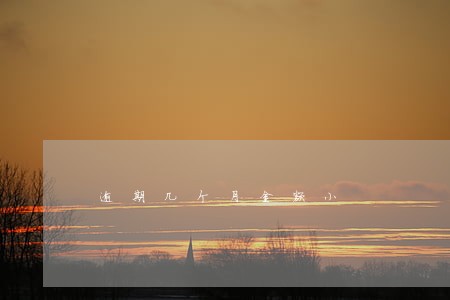 逾期几个月金额小 逾期几个月金额小