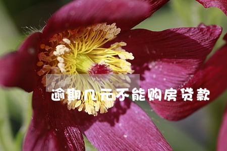 逾期几元不能购房贷款 逾期几元不能购房贷款