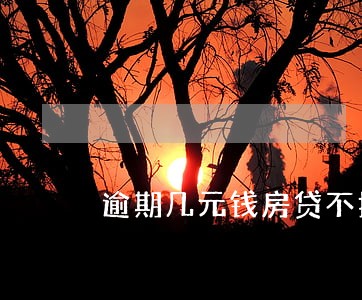 逾期几元钱房贷不批 逾期几元钱房贷不批