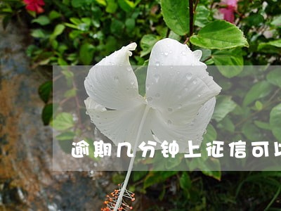 逾期几分钟上征信可以上诉吗 逾期几分钟上征信可以上诉吗