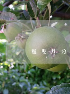 逾期几分钟会影响信用吗 逾期几分钟会影响信用吗