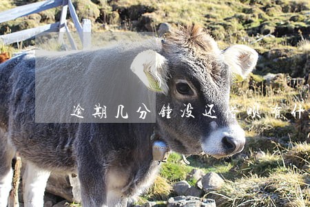 逾期几分钟没还借呗有什么后果 逾期几分钟没还借呗有什么后果