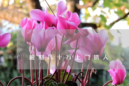 逾期几十万上门抓人 逾期几十万上门抓人