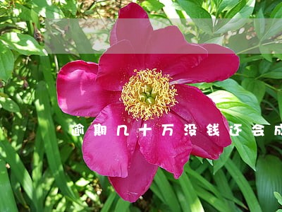 逾期几十万没钱还会成老赖吗 逾期几十万没钱还会成老赖吗