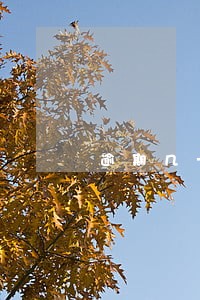 逾期几十万的小贷 逾期几十万的小贷