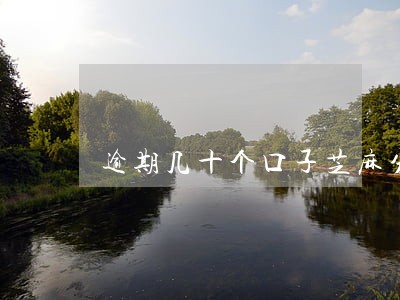 逾期几十个口子芝麻分4卡农 逾期几十个口子芝麻分4卡农