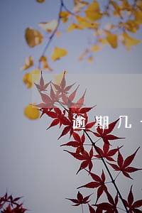 逾期几十个口子还能不能下款 逾期几十个口子还能不能下款