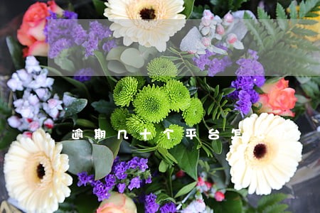 逾期几十个平台怎么办