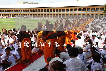 逾期几十元上了征信怎么取消 逾期几十元上了征信怎么取消