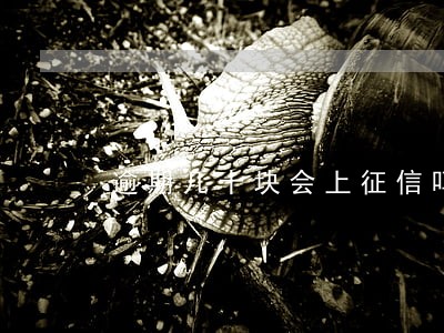逾期几十块会上征信吗 逾期几十块会上征信吗