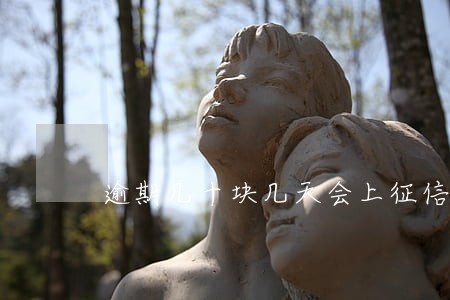 逾期几十块几天会上征信 逾期几十块几天会上征信