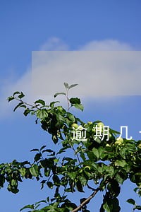逾期几十块可以贷款买房吗 逾期几十块可以贷款买房吗