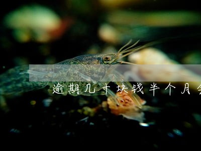 逾期几十块钱半个月会影响征信吗 逾期几十块钱半个月会影响征信吗