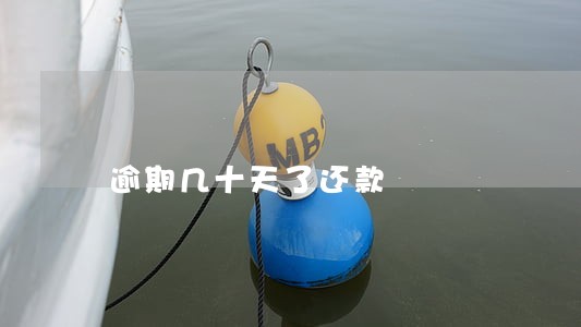 逾期几十天了还款