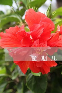 逾期几十天可以做什么贷款 逾期几十天可以做什么贷款