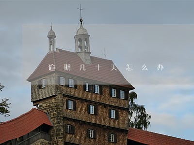 逾期几十天怎么办 逾期几十天怎么办