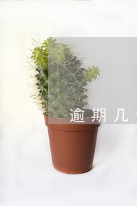 逾期几十家平台该怎么办 逾期几十家平台该怎么办