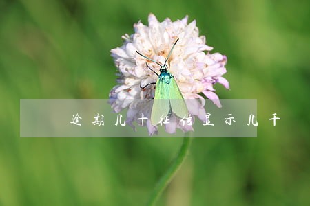 逾期几十征信显示几千 逾期几十征信显示几千