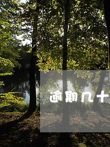 逾期几十次能车贷吗 逾期几十次能车贷吗