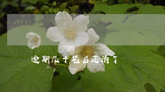 逾期几十笔后还清了