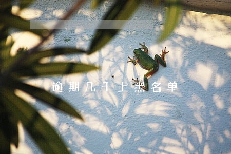 逾期几千上黑名单 逾期几千上黑名单